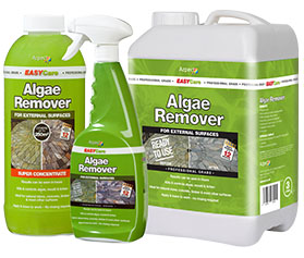 easy algae remover